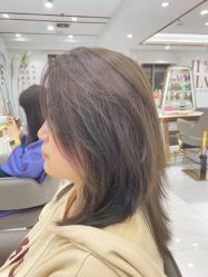 -镁连社·美联社