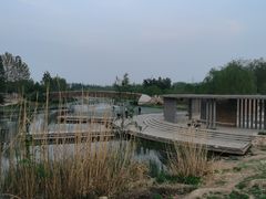 -马家湾湿地公园