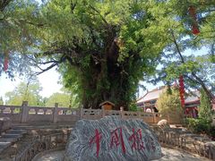 -大槐树寻根祭祖园