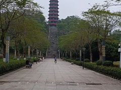 -红花山公园