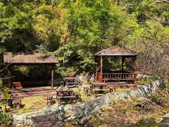 -天女山森林公园