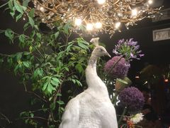 -滇野云南野生菌餐厅(陕西南路店)