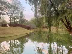 -华南师范大学(广州大学城校区)