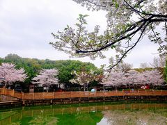 -玉山公园