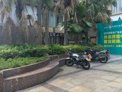 -台湾小竹(华宇广场店)