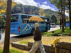 -洛阳白云山景区