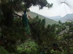 -燕塞湖鸟语林景区