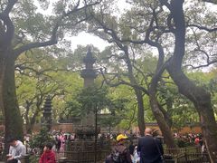 -普陀山风景名胜区-法雨禅寺