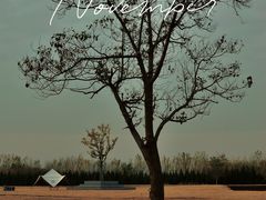 -汉长安城未央宫国家考古遗址公园