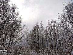 -太子岭滑雪场
