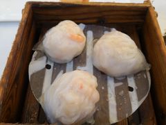 金鼎鲜味虾饺皇-广州酒家(昌岗地铁站店)