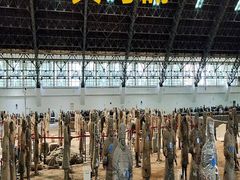 -西安汉城湖景区