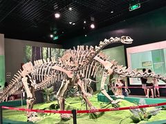 -珠海市博物馆