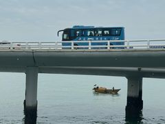 -演武大桥观景平台