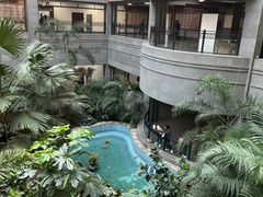 -黑龙江中医药大学附属第一医院