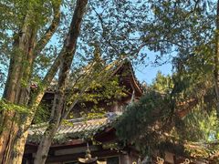 -子昂故里文化旅游区