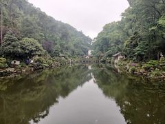 -南山植物园