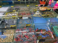-明记海鲜大排档(巽寮湾店)