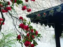 -留园