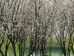 -西安汉城湖景区