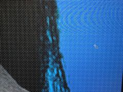 -海马体照相馆(成都来福士广场店)