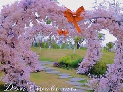 -府河摄影公园