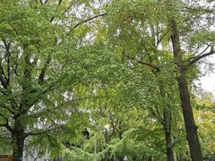 -四川大学(华西校区)