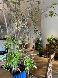 -WAVE SODA摄影工作室