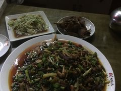 -功夫兔