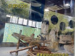 -上海野生动物园
