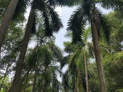 -华南国家植物园-售票处