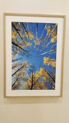 -北京米扬丽格医疗美容·联合丽格鼻整形中心