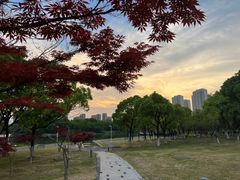 -白塘生态植物园