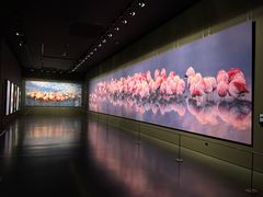 -罗红摄影艺术馆