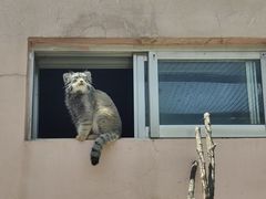 -青藏高原野生动物园