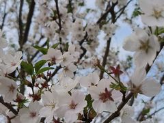 -西北湖绿化广场