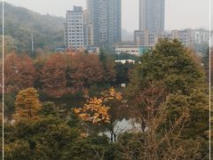-重庆医科大学附属第一医院(金山院区)