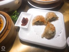 -南枝记