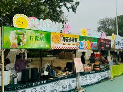 -太阳宫公园