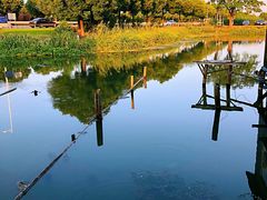 -水岸居湖景农家乐·阳澄湖大闸蟹