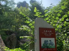 -秦岭终南山世界地质公园翠华山景区
