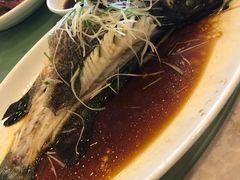 -中国饭店-餐厅