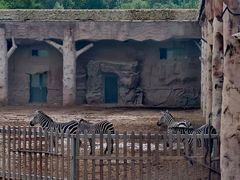 -鄂尔多斯野生动物园