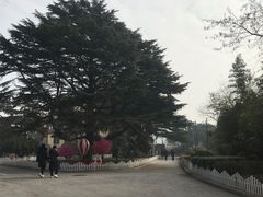 -青岛德国总督楼旧址博物馆