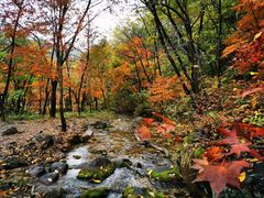 -玉渡山自然风景区