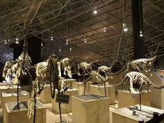 -世界恐龙谷景区