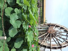 北京河北村民俗文化体验园-河北村民俗体验园