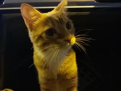 -北京盘古七星酒店