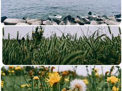 -东堤公园
