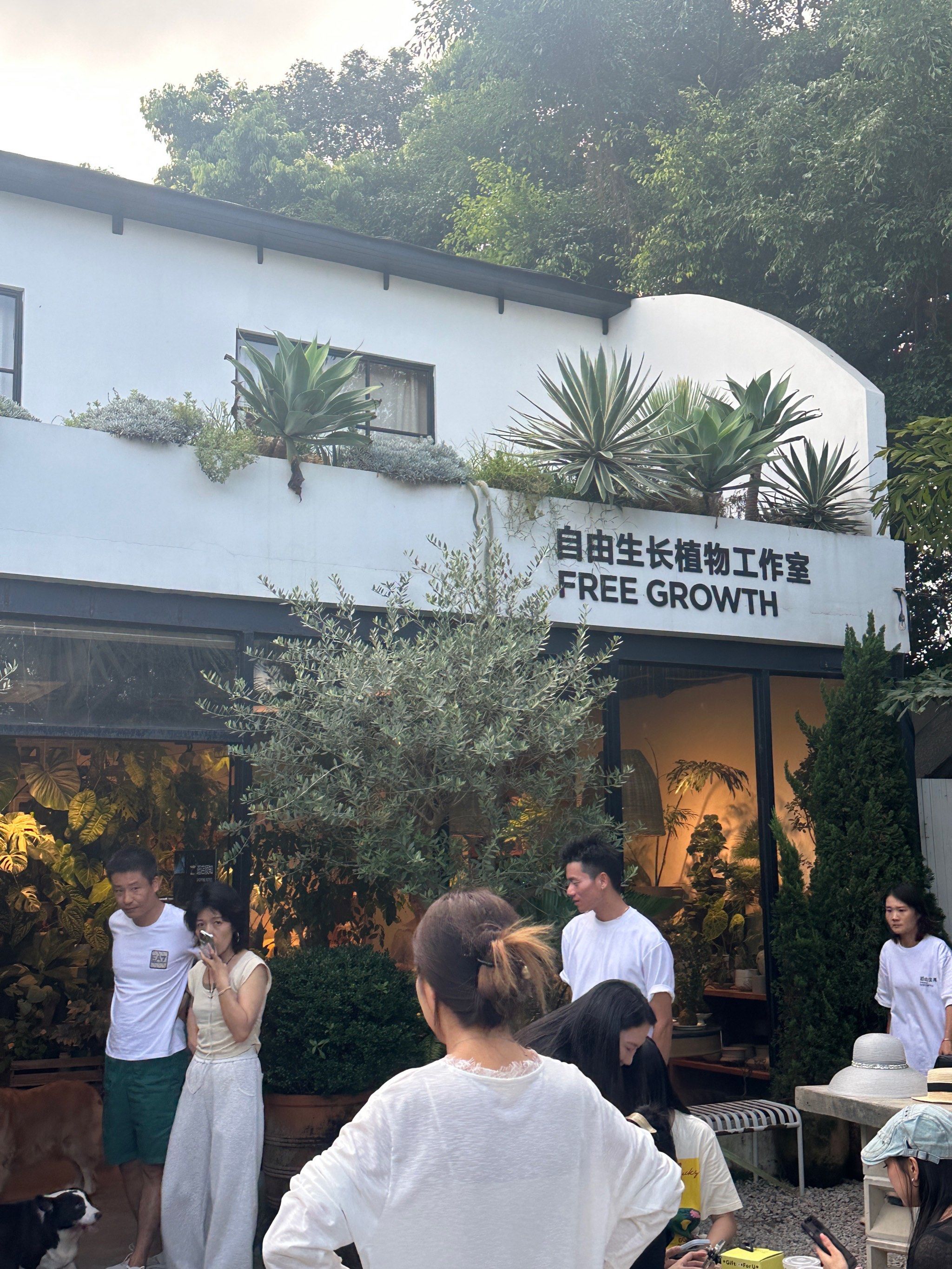 💕被绿植包围的咖啡厅,宛如人间仙境.